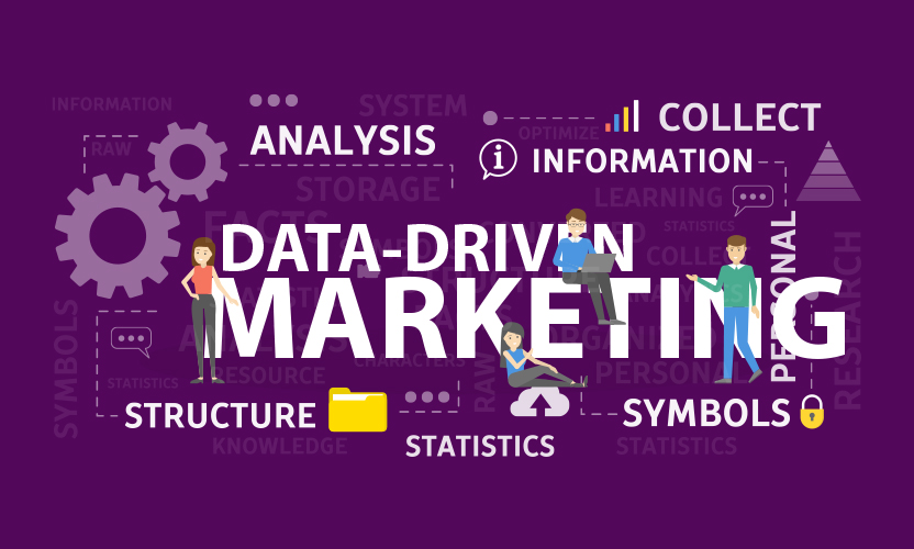 Data-Driven Marketing Strategies